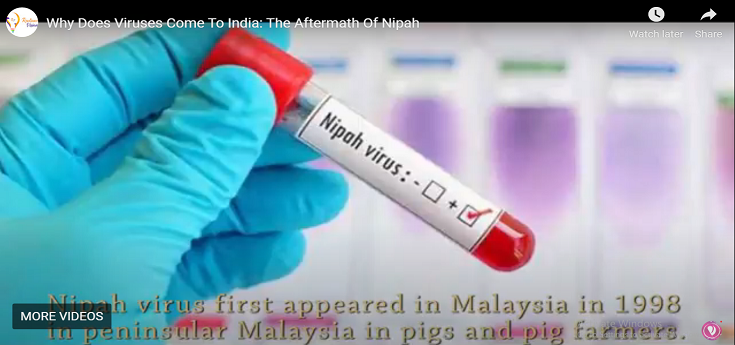 Why Does Viruses Come To India: The Aftermath Of Nipah