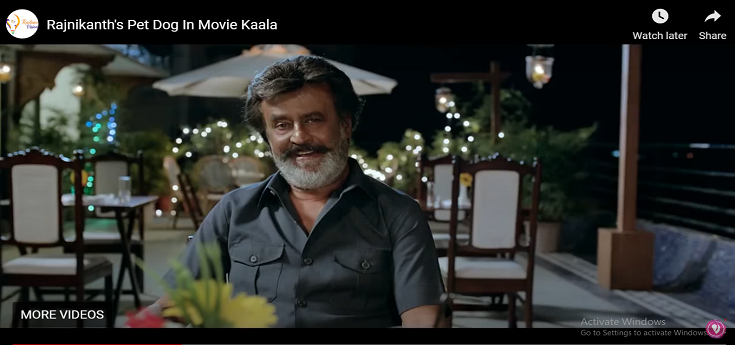 Rajnikanth's Pet Dog In Movie Kaala